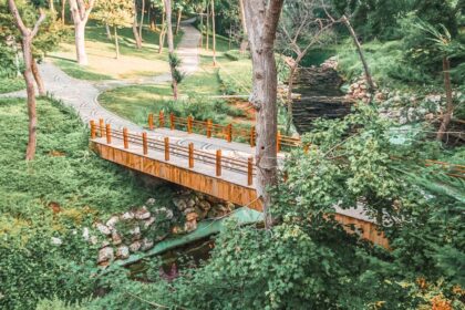 İstanbul Piknik Yapılacak Yerler - İstanbul Piknik Alanları