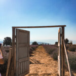 Isparta Lavanta Bahçeleri Kuyucak Köyü