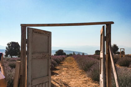 Isparta Lavanta Bahçeleri Kuyucak Köyü