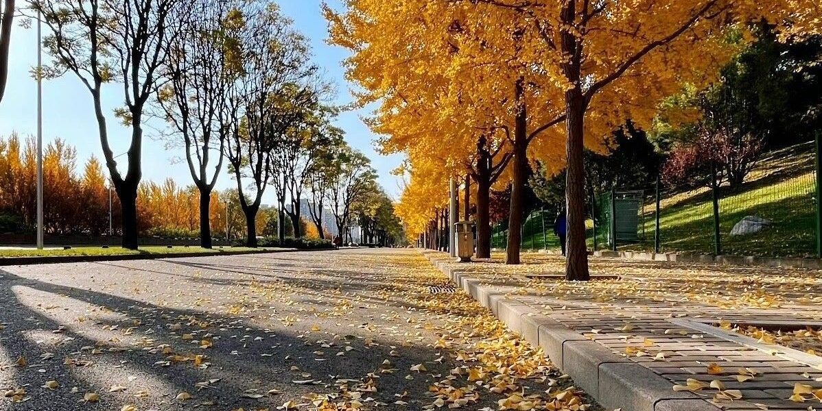 Türkiye'de Sonbahar'da Gezilecek Yerler