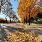 Türkiye'de Sonbahar'da Gezilecek Yerler