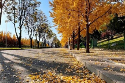 Türkiye'de Sonbahar'da Gezilecek Yerler
