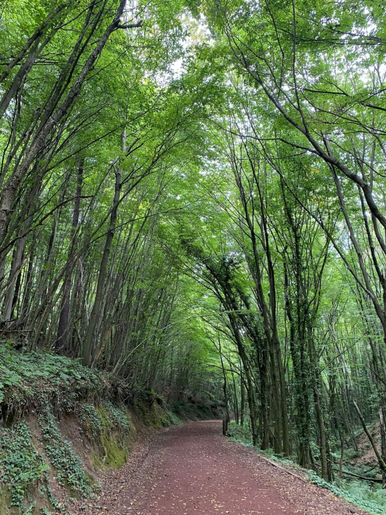 Polonezköy Nature Park