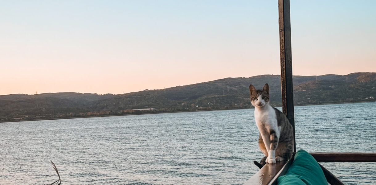 Hafta Sonu Rotası: Sapanca Gezilecek Yerler ve Yapılacaklar