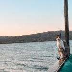 Hafta Sonu Rotası: Sapanca Gezilecek Yerler ve Yapılacaklar